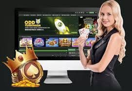 মোবাইলে ppvip08 হোম অভিজ্ঞতার দৃশ্য